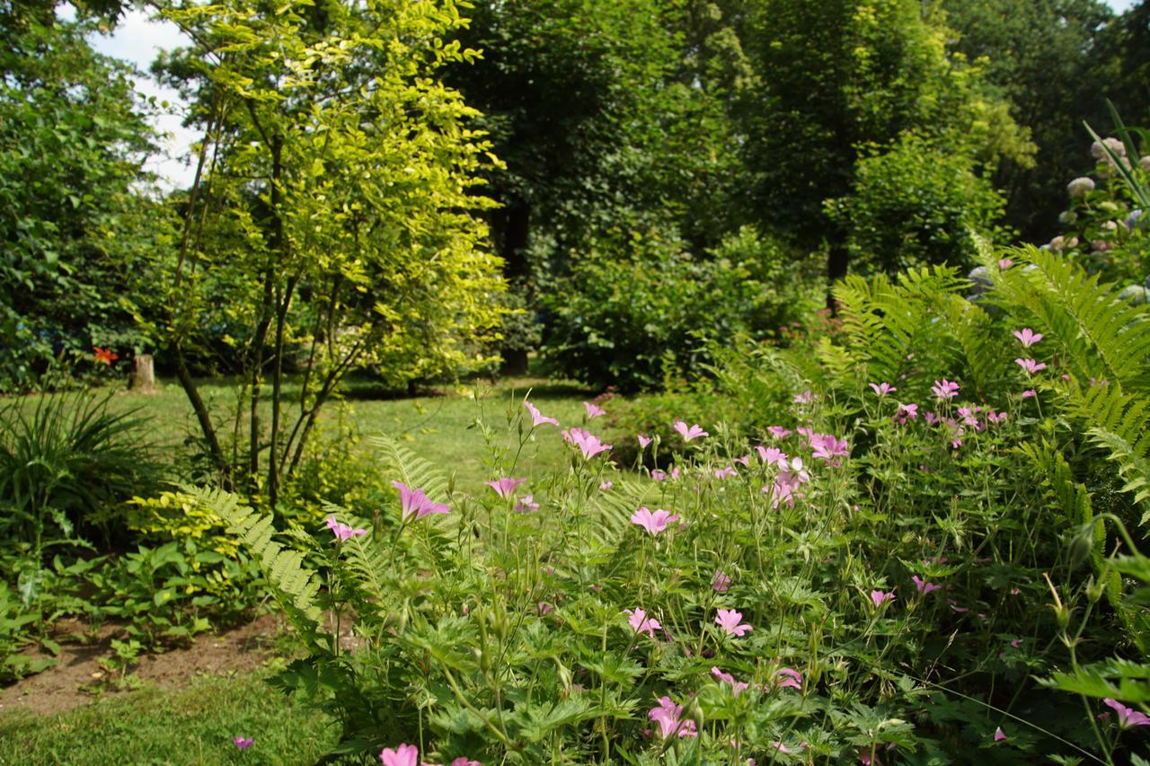 Bed & Breakfast Aan De Beek Arcen Kültér fotó