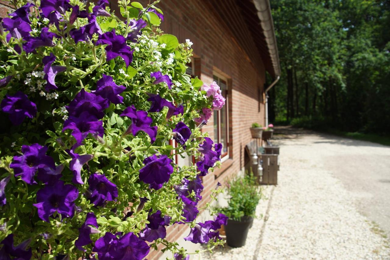 Bed & Breakfast Aan De Beek Arcen Kültér fotó